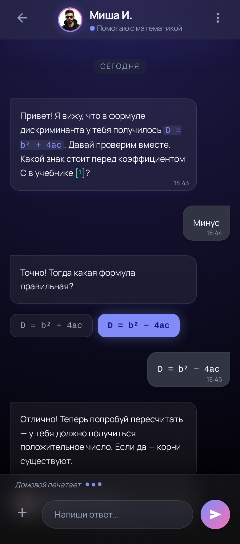 Домовик — чат с разбором ошибки